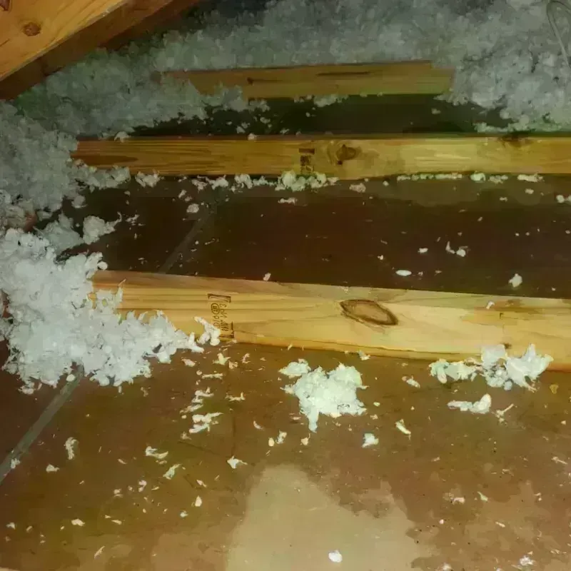 Attic Water Damage in North Edwards, CA