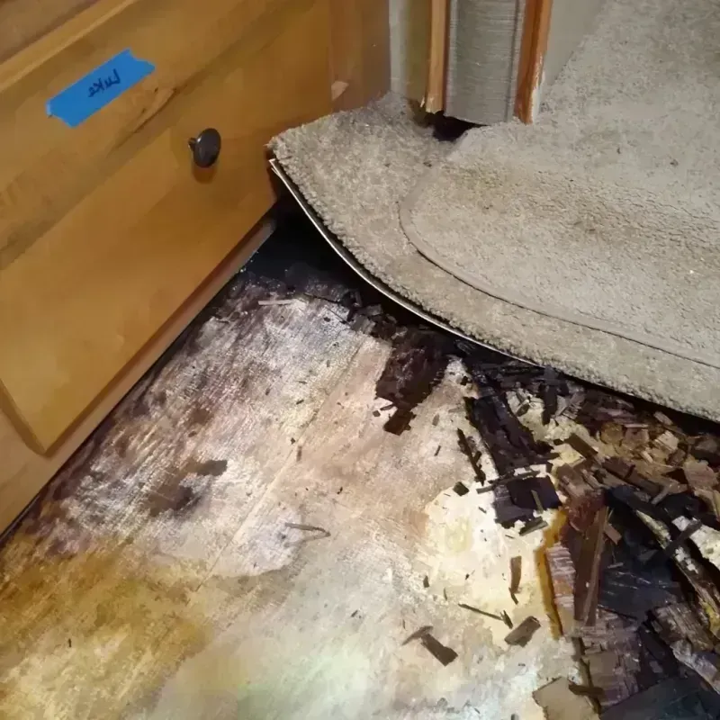 Wood Floor Water Damage in North Edwards, CA